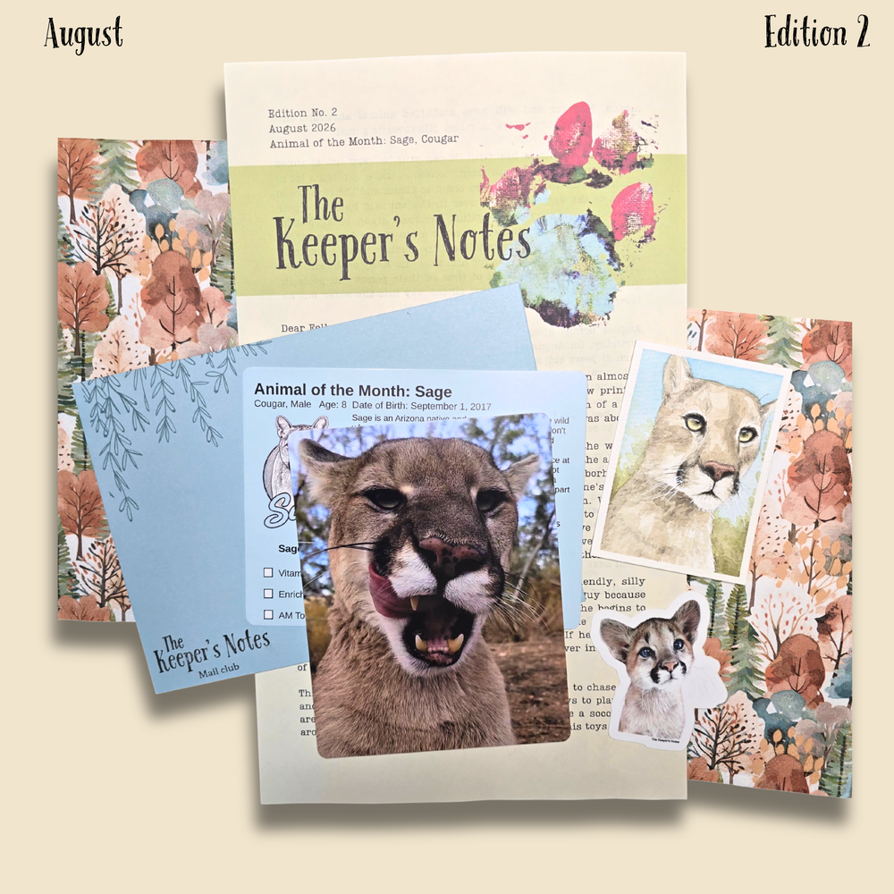 Catch Up - August 2026 (ed. 2)