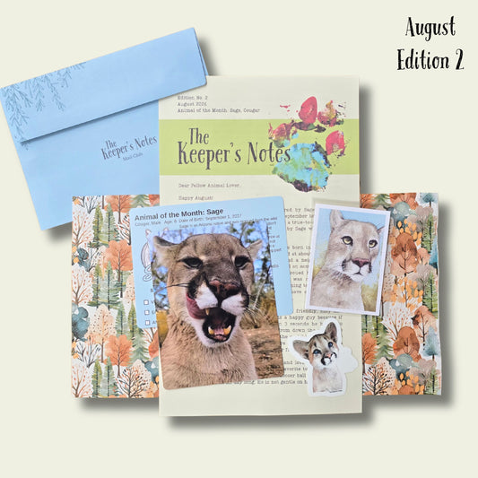 Catch Up - August 2026 (ed. 2)