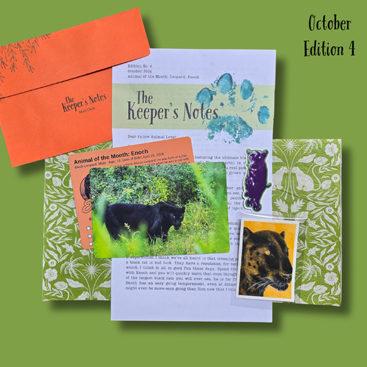 Catch Up - October 2026 (ed. 4)