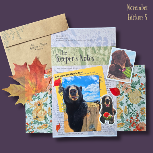 The Keeper's Notes Mail Club